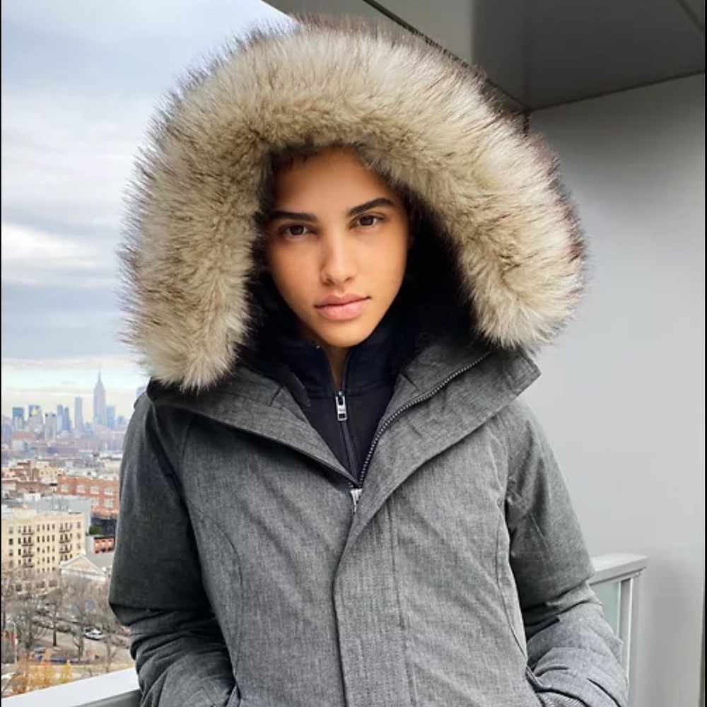 Aritzia TNA Summit Parka
